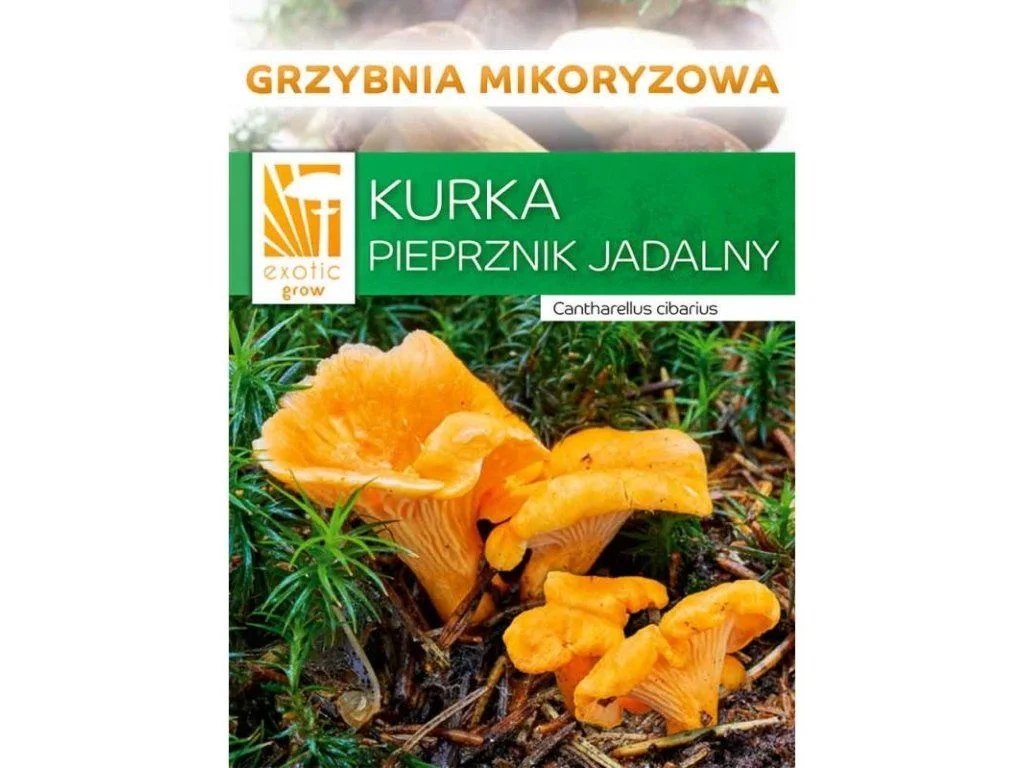 autodily-na-skodu-3202607012225431030528