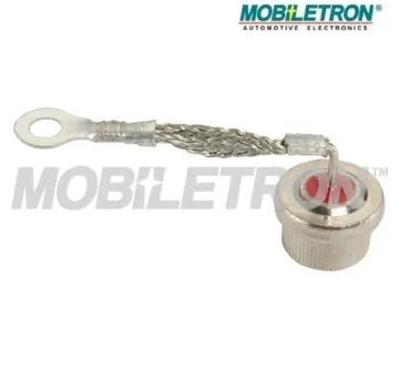 elancar-520260630172755482505