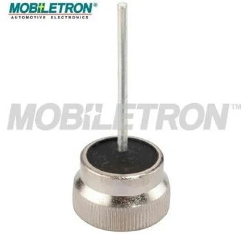 elancar-520260630172805482567