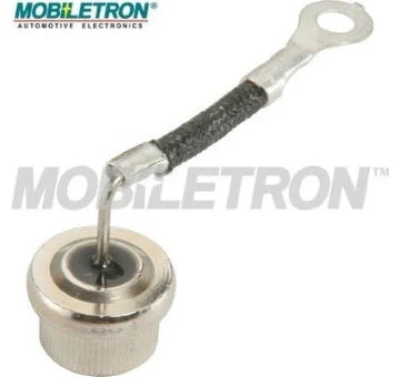elancar-520260630172925483054