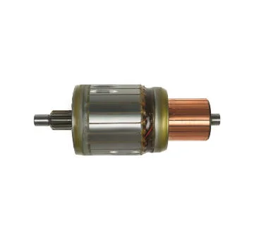 elancar-520260701094038839254