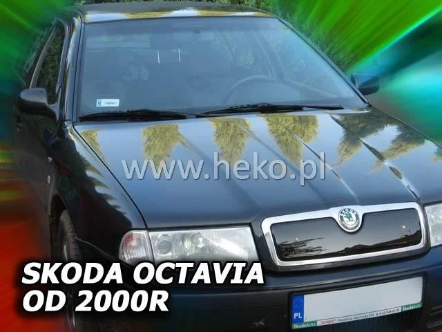 motora-320260630204155553786