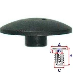 motora-320260701012655659867