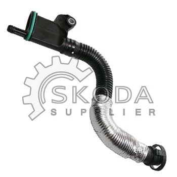 motora-420260630200231540629