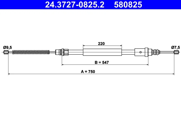 motora-520260630171422477539