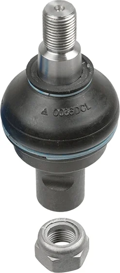 motora-520260630213817573732