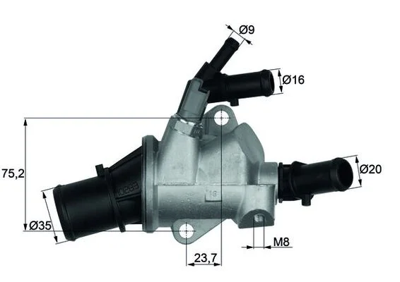 motora-520260701041637722857
