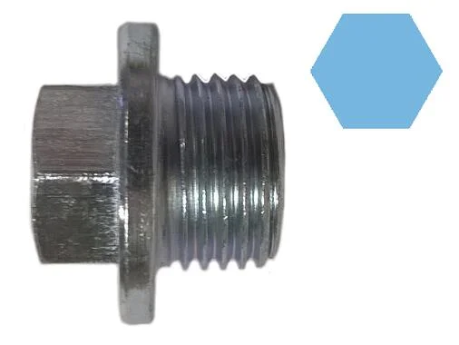motora-520260701042318725818