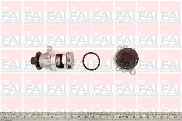 motora-520260701064259777974