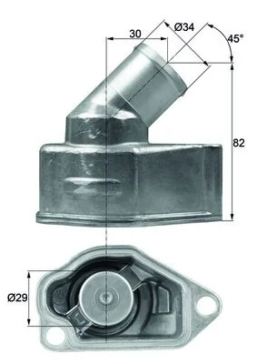 motora-520260701071558790318