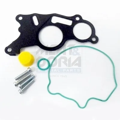 motora-520260701071923791666